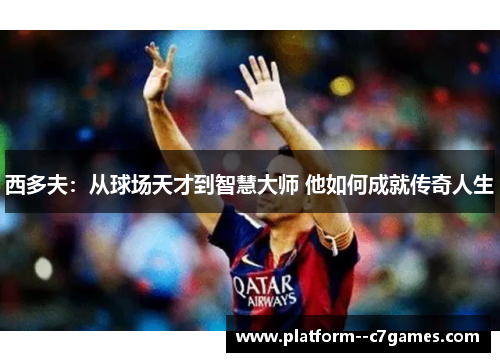 西多夫:从球场天才到智慧大师 他如何成就传奇人生 西多夫:从球场天才到智慧大师 他如何成就传奇人生